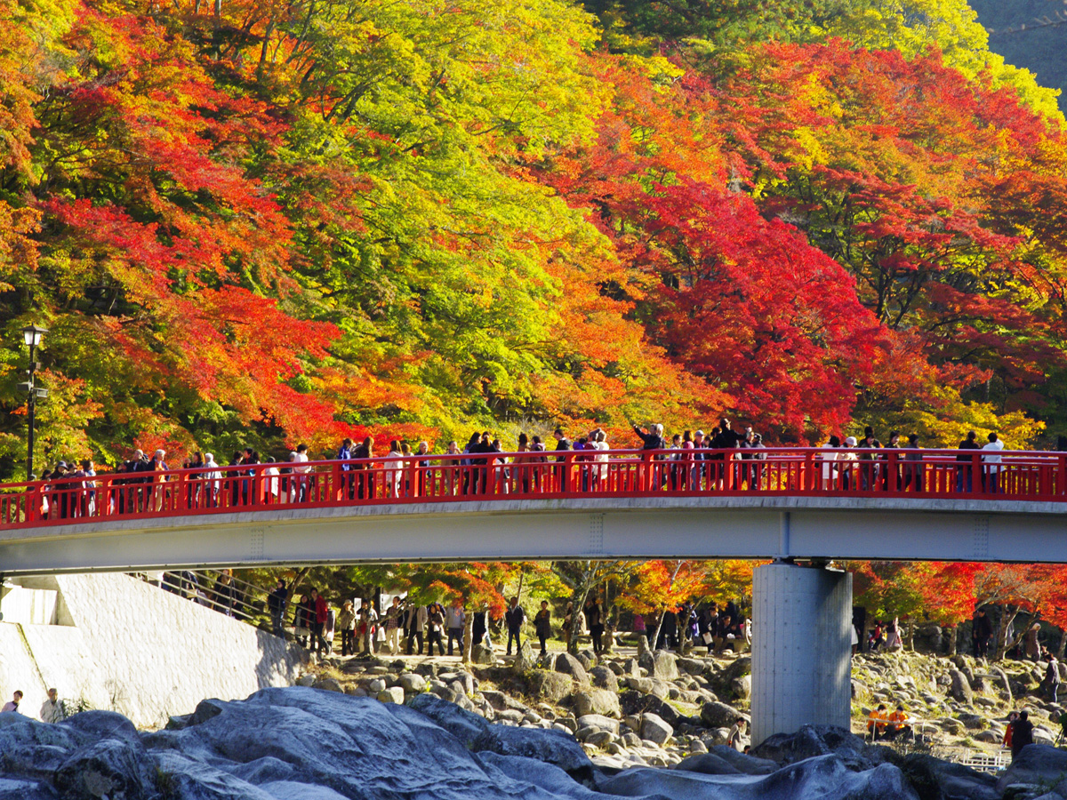 MÙA THU CUNG ĐƯỜNG VÀNG (OSAKA - TOKYO) TN
